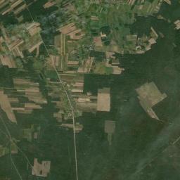 Satelita