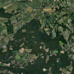 Bippen Satellite Map