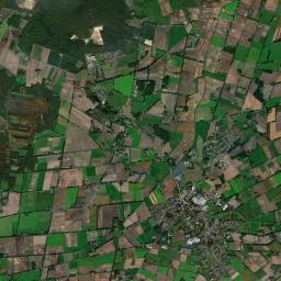 Wagenfeld Satellite Map