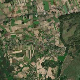 Satelita