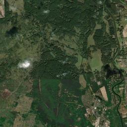 Satelita