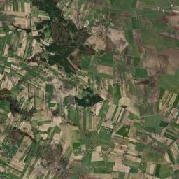 Satelita