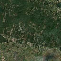 Satelita
