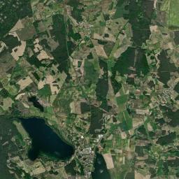 Satelita