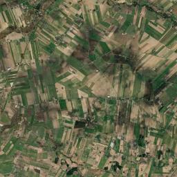 Satelita