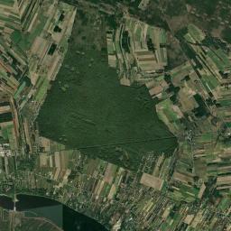 Satelita