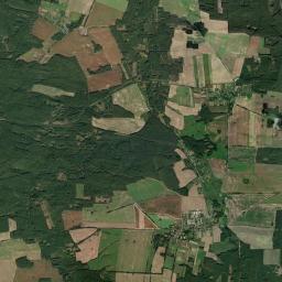 Satelita