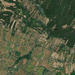 Satelita