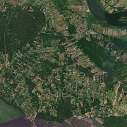 Satelita