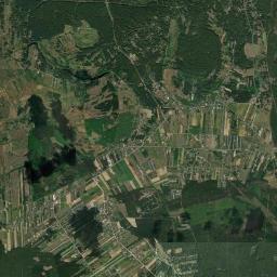 Satelita
