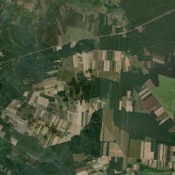 Satelita