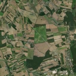 Satelita