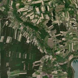Satelita