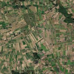 Satelita