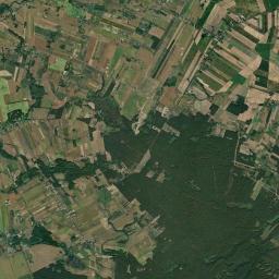 Satelita
