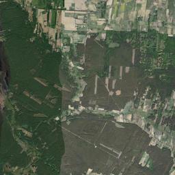 Satelita