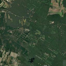 Satelita