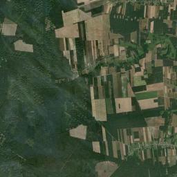 Satelita