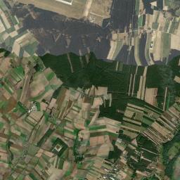 Satelita
