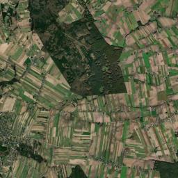 Przedecz Satellite Map