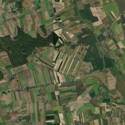 Satelita