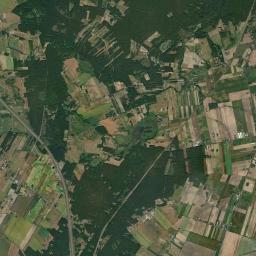 Satelita