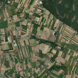 Satelita