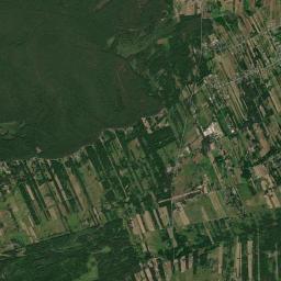 Satelita