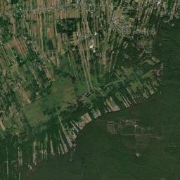 Satelita