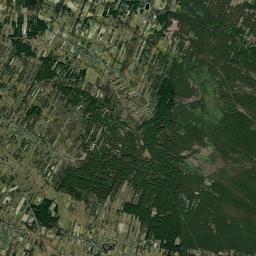 Satelita
