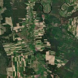 Satelita