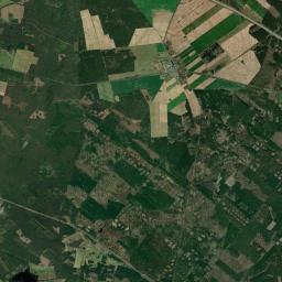Satelita