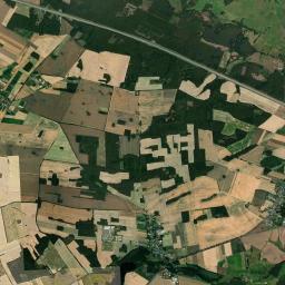 Satelita