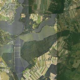 Licheń Stary Satellite Map