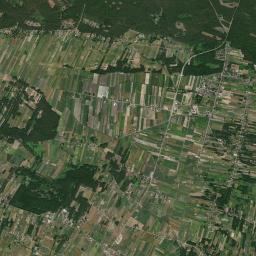 Młodzieszyn Satellite Map