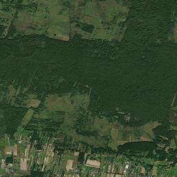 Kampinos Satellite Map