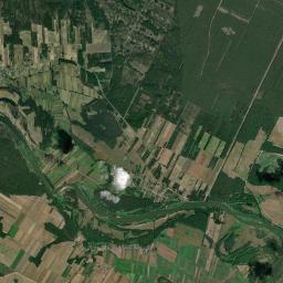 Satelita