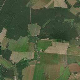 Satelita