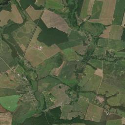 Satelita