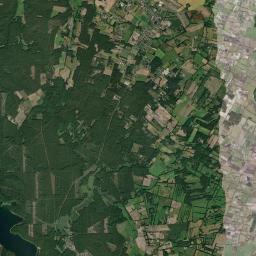 Satelita