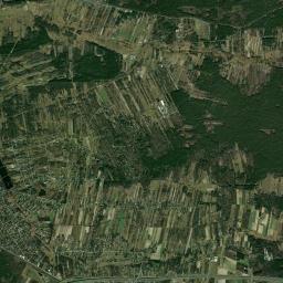 Satelita