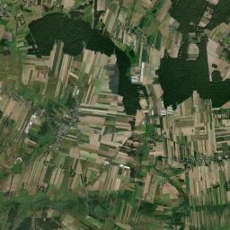 Satelita