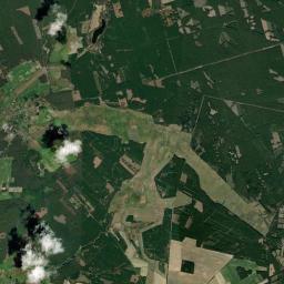 Satelita