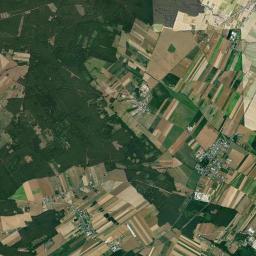 Satelita