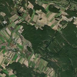 Satelita