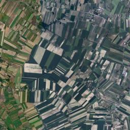 Bedlno Satellite Map