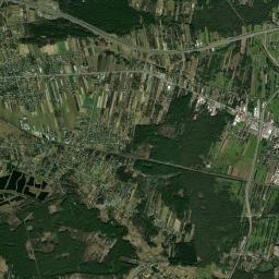 Satelita