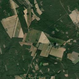 Satelita