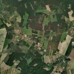 Satelita