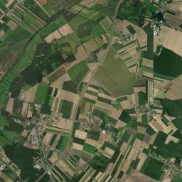 Satelita